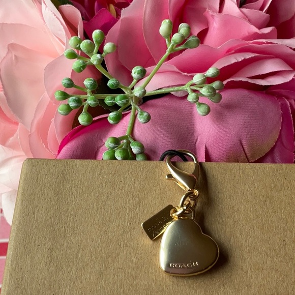 π©· COACH BOXED MINI WALLET ON A CHAIN IN SIGNATURE CANVAS WITH HEART PRINT π©· - Picture 13 of 16